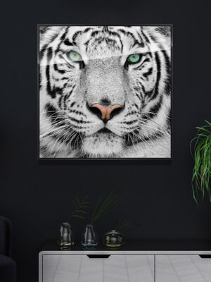 Wildlife Animal Tiger Posters Canvas Prints Wall Art Painting for Home Hotel Office Decor