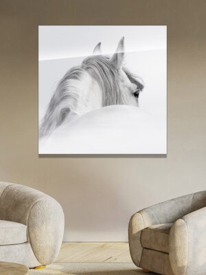 3-iSB-61390B-1Panel Frameless Acrylic Prints Canvas Wall Art Painting Glass Animal Horse Painting For Living Room